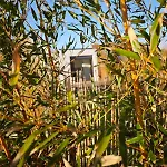 Bambou Zen Holiday home