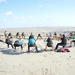 Bambou Zen رانج دو فليرس