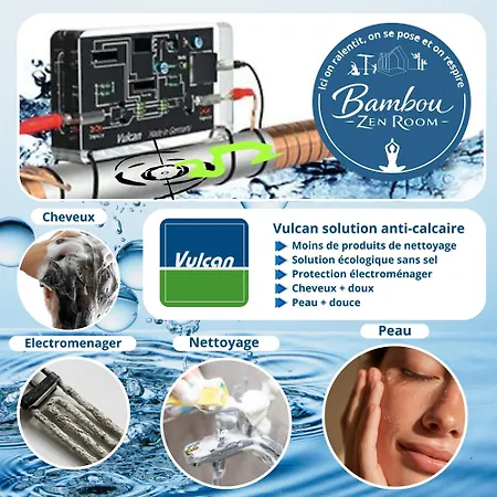 Bambou Zen Rang-du-Fliers