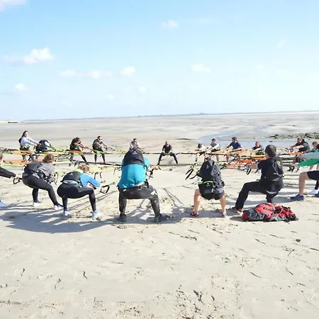 Bambou Zen Rang-du-Fliers