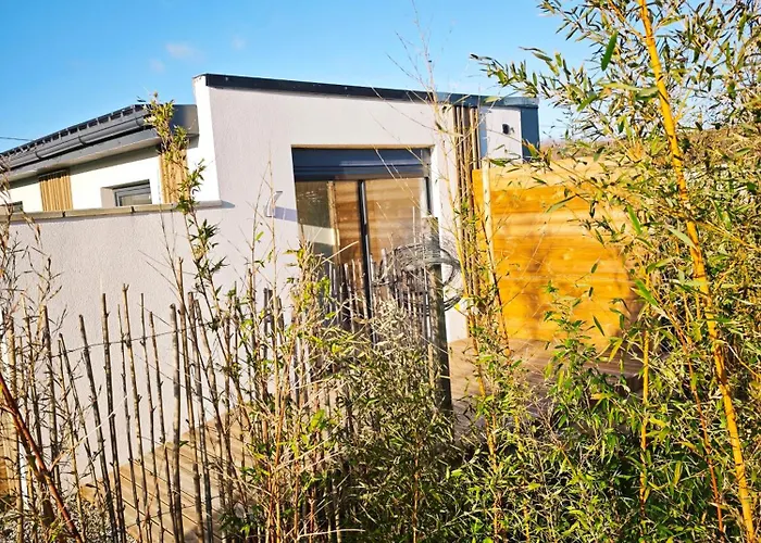 Bambou Zen Rang-du-Fliers