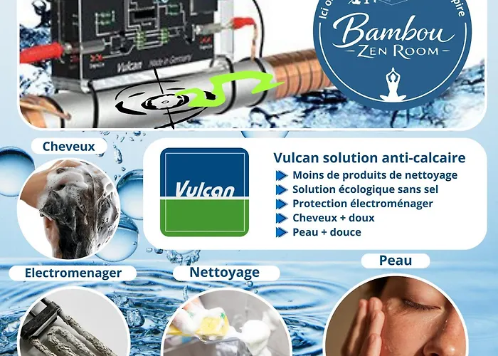 Bambou Zen Rang-du-Fliers