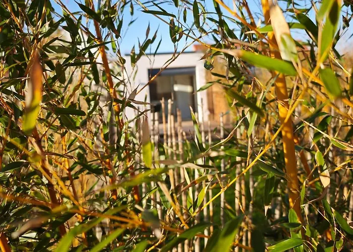 Bambou Zen Feriehus