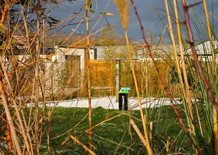 Bambou Zen * Rang-du-Fliers