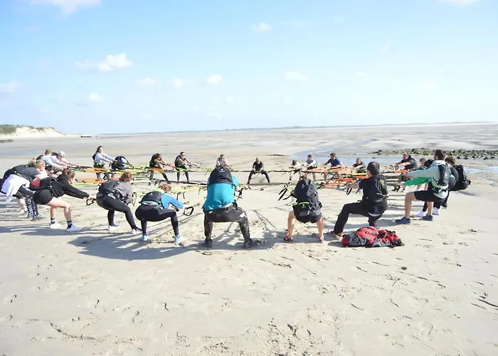 Bambou Zen Rang-du-Fliers